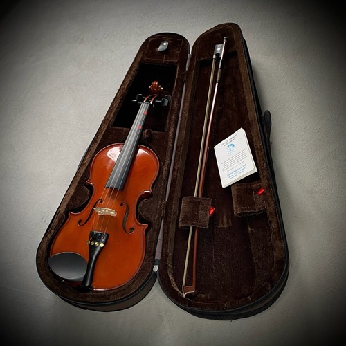 Stentor violino studentesco - -,