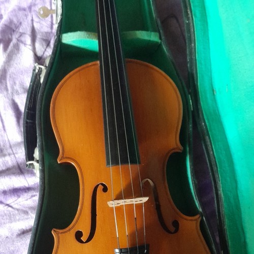 Lark violino acustico per - acustico,