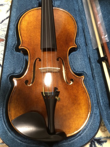 Offerta violino giapponese - violino,