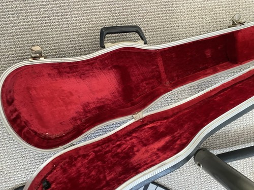 Custodia rigida per violino - custodia,