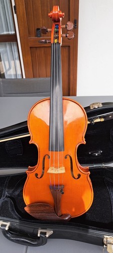Marco pedrini violino - marco,