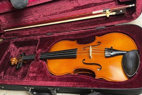 Costume violino primavera - violino,
