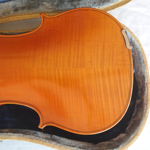Kapok violino misura grana - violino, 4/4
