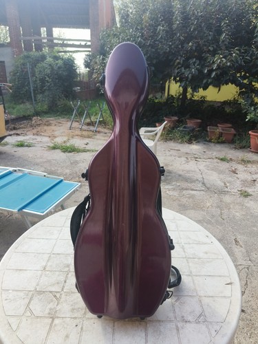 Case custodia rigida violino - m-case,