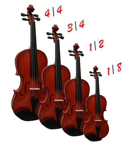 Violino naturale - -,