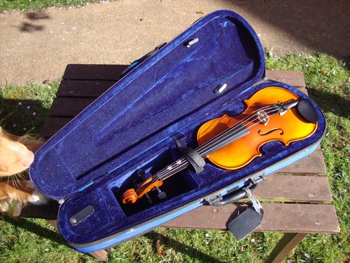 Violino intermusicale in - violino,