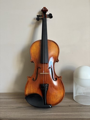 Violino acustico per - 4/4,