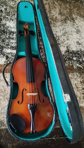 Violino usato con custodia - usato,