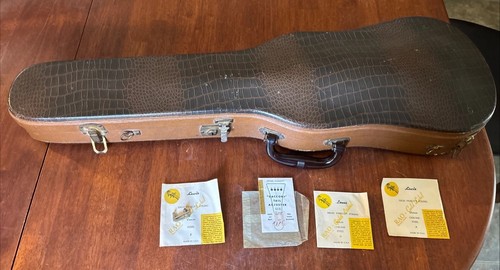 Custodia violino vintage testa