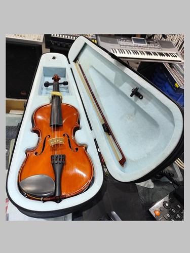 Violino con custodia - con, usat