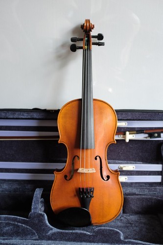 Abito per violino - , hidersine