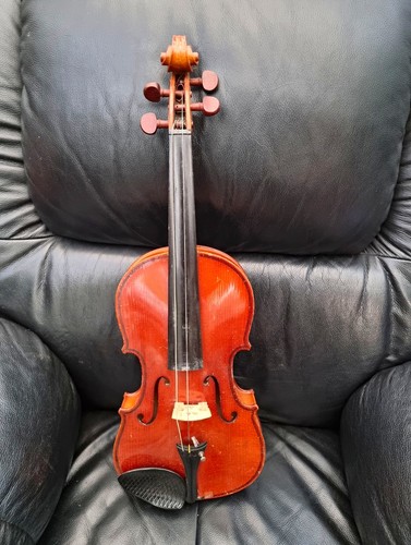 Completo violino europeo - , in