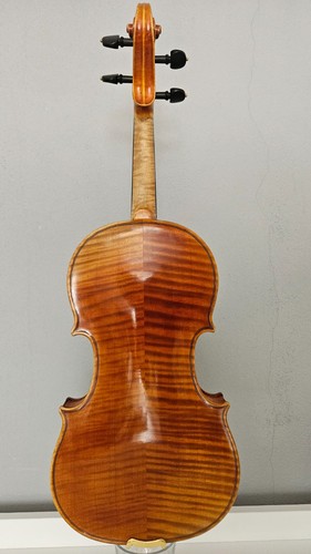 Vecchio violino maestro