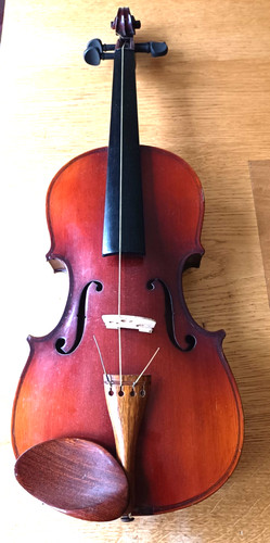 Bellissimo violino skylark - bellissimo,