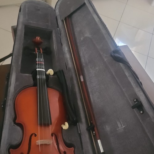 Violino con custodia - ,