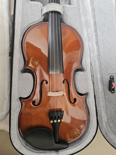 Violino acustico con - violino,