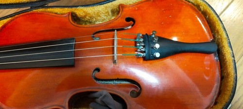 Violino kiso suzuki - violino,