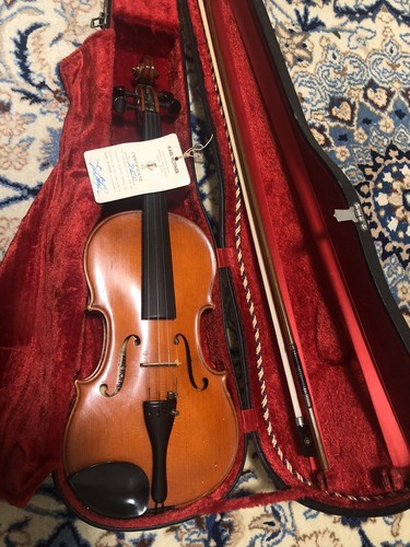 Violino karl hofner con - karl,