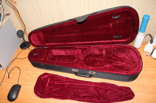Custodia per violino - , braly