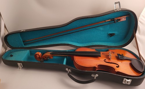 Violino adulto da studio - adulto,
